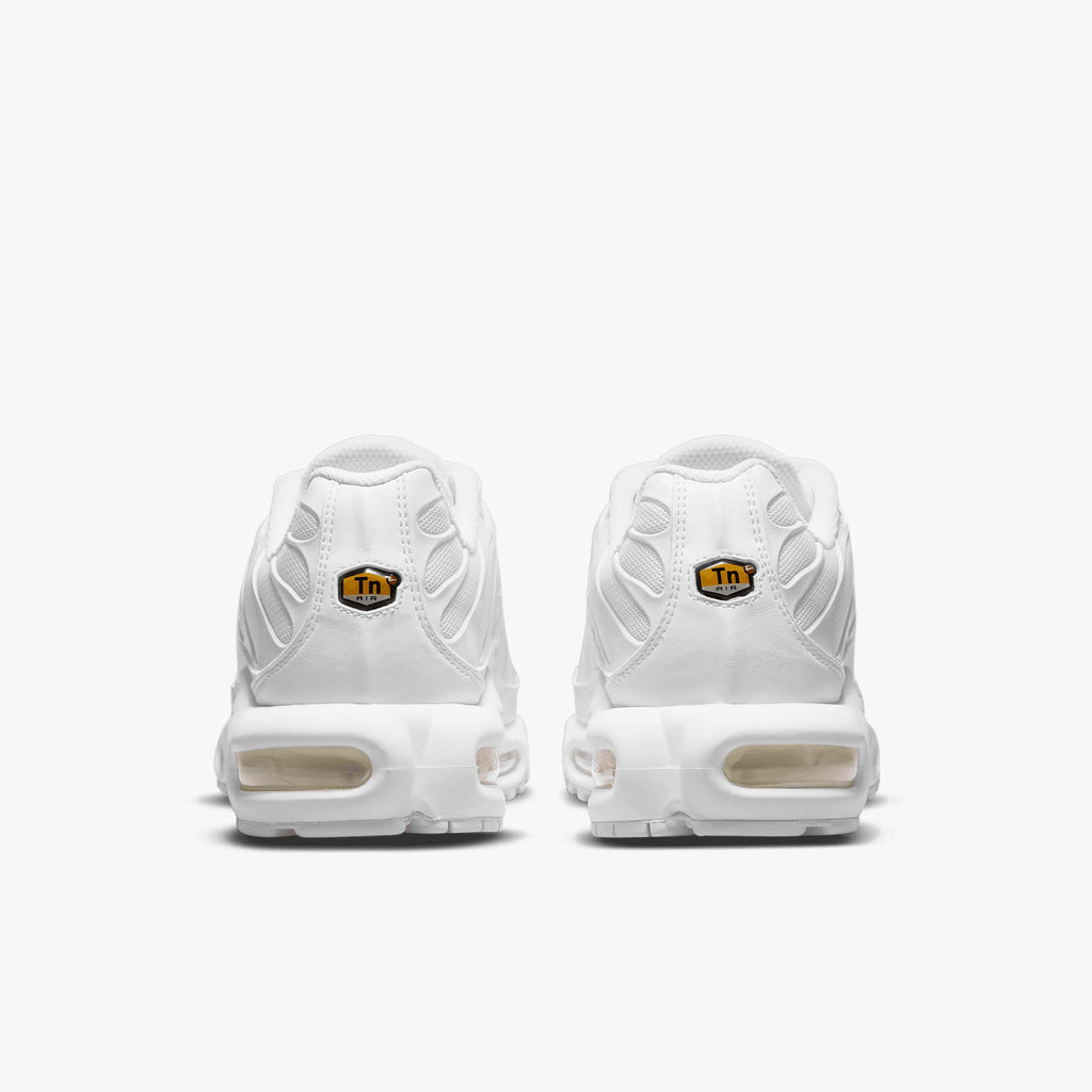Nike Air Max Plus