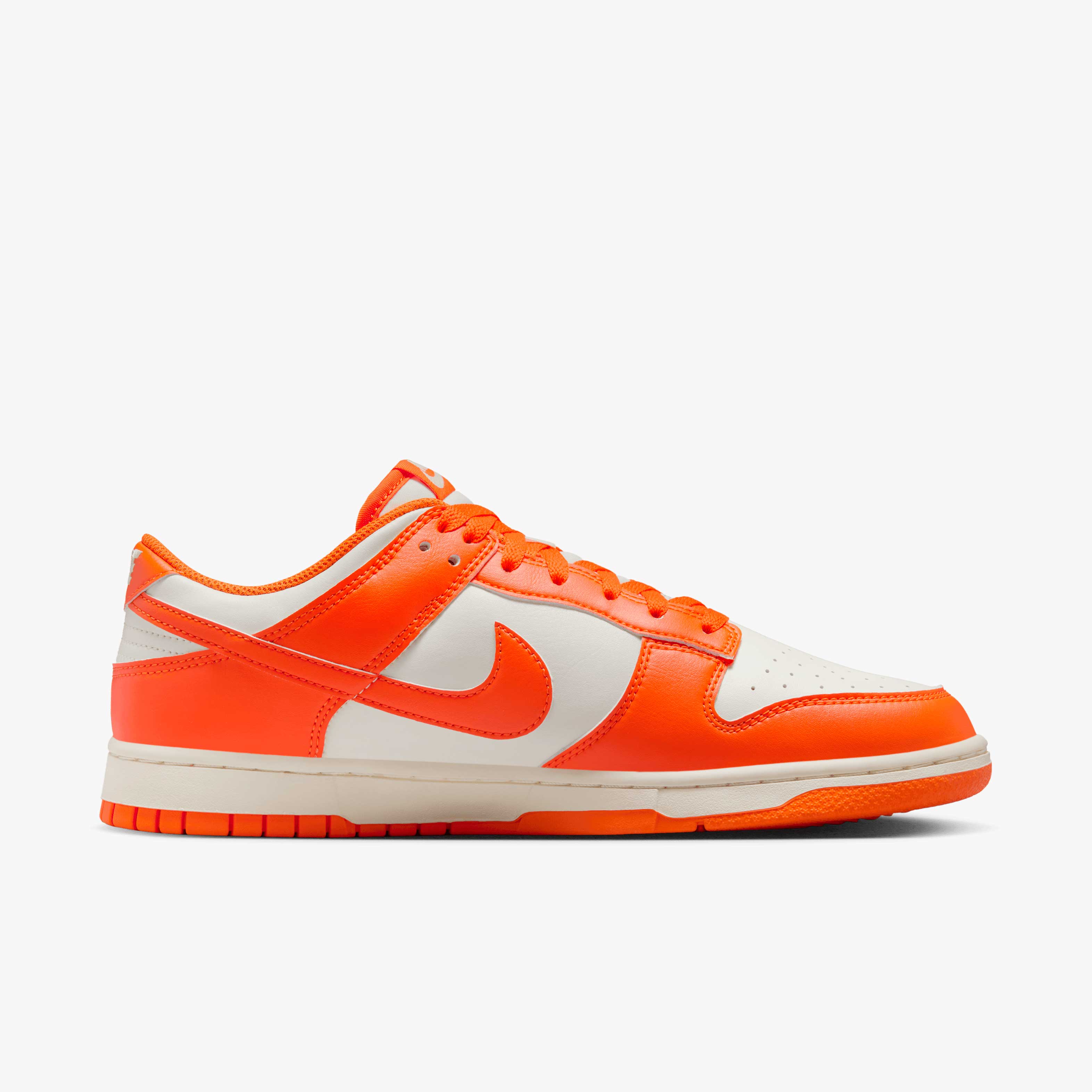Nike Dunk Low Retro