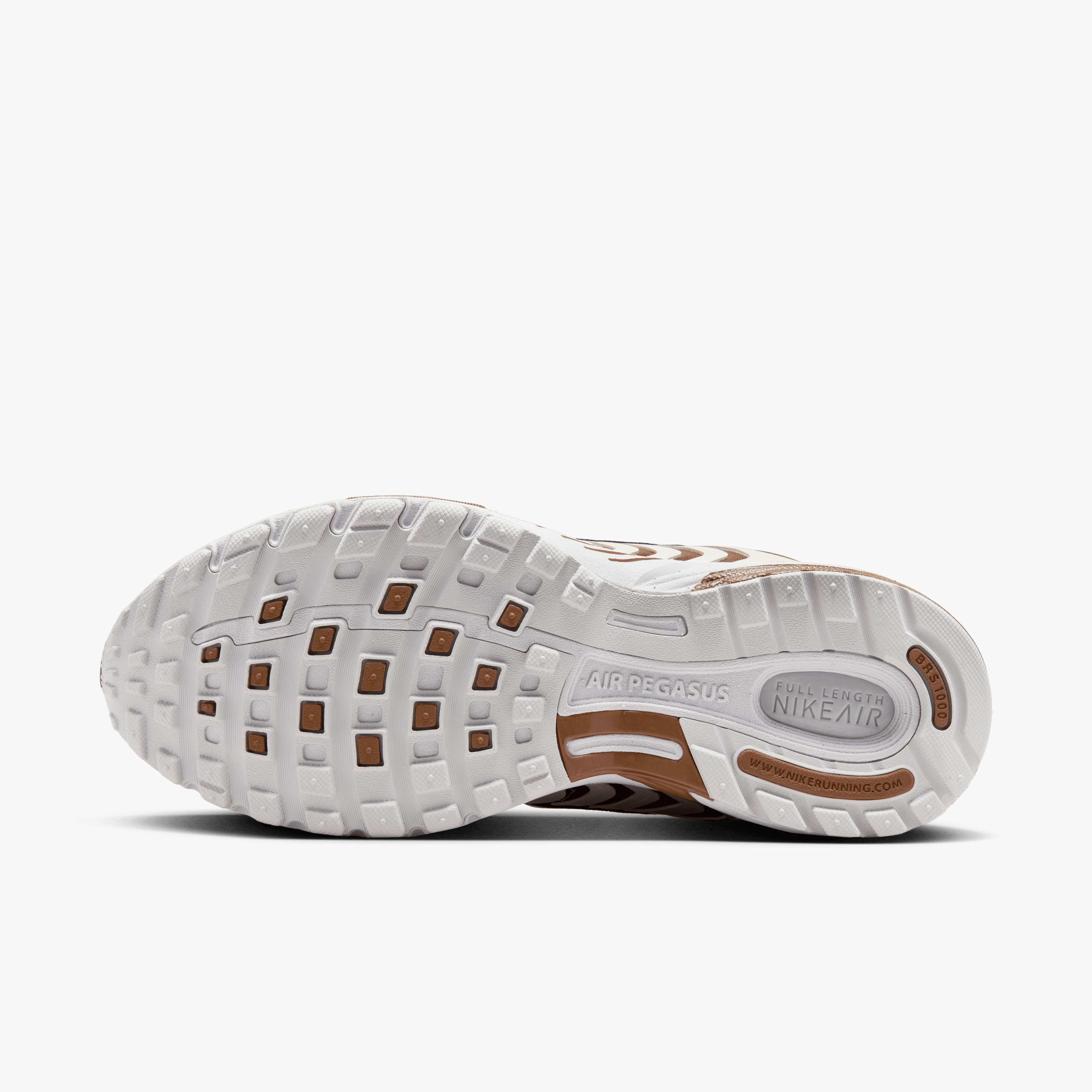 Nike Air Pegasus 2005