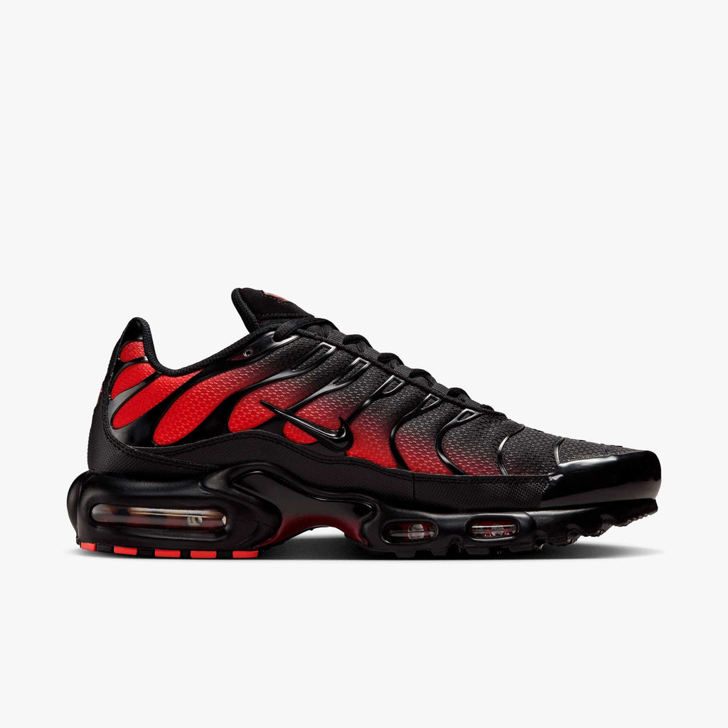 Nike Zapatos Air Max Plus