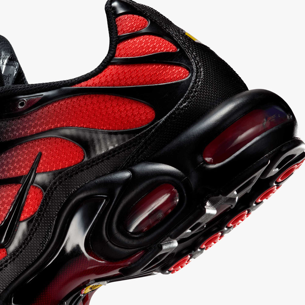 Nike Zapatos Air Max Plus