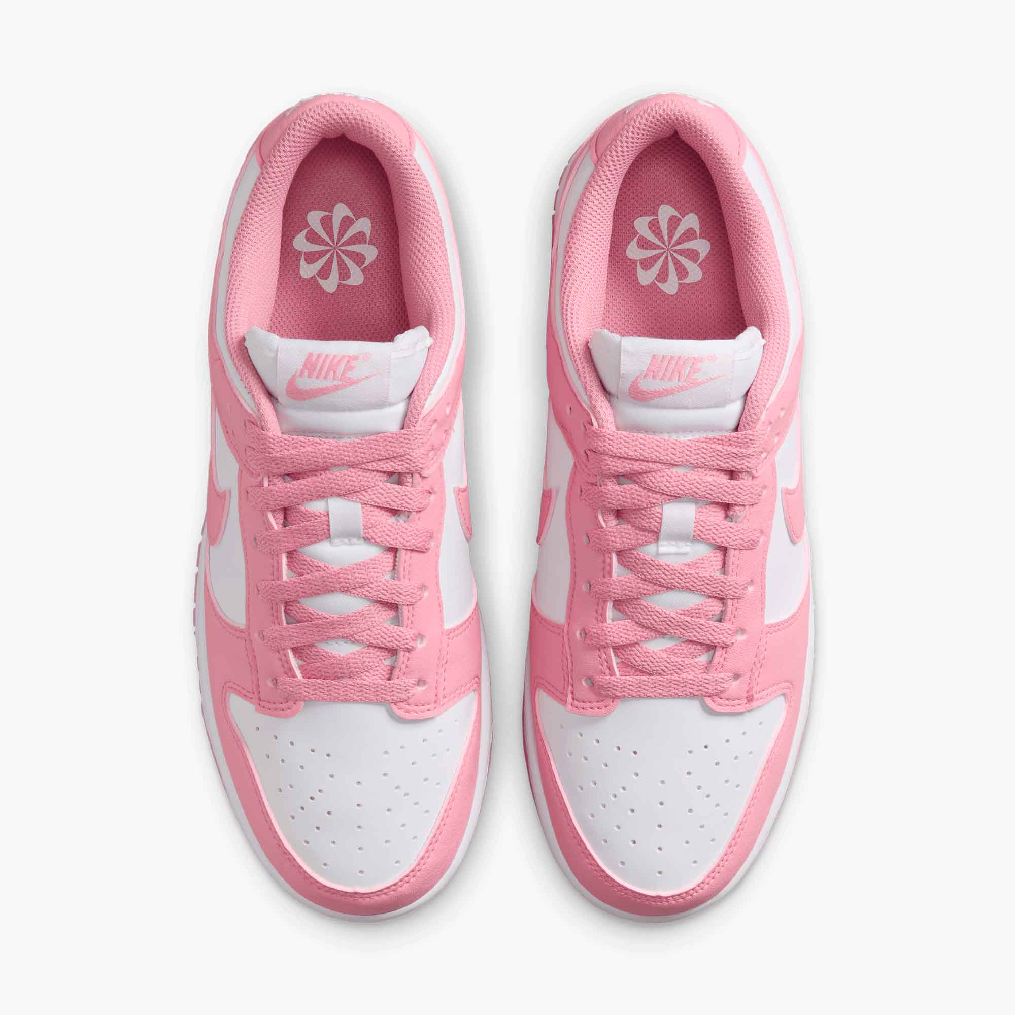 Nike Dunk Low Next Nature
