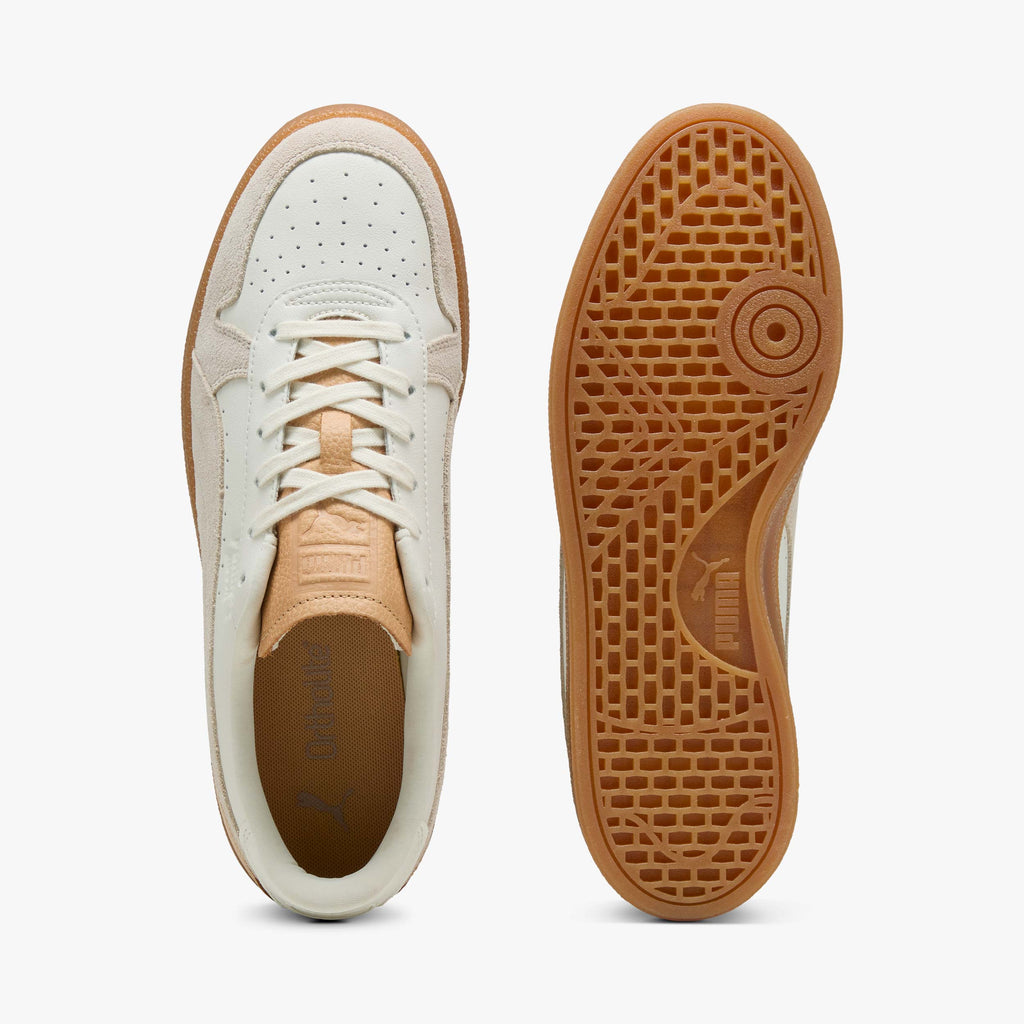Puma Indoor Special