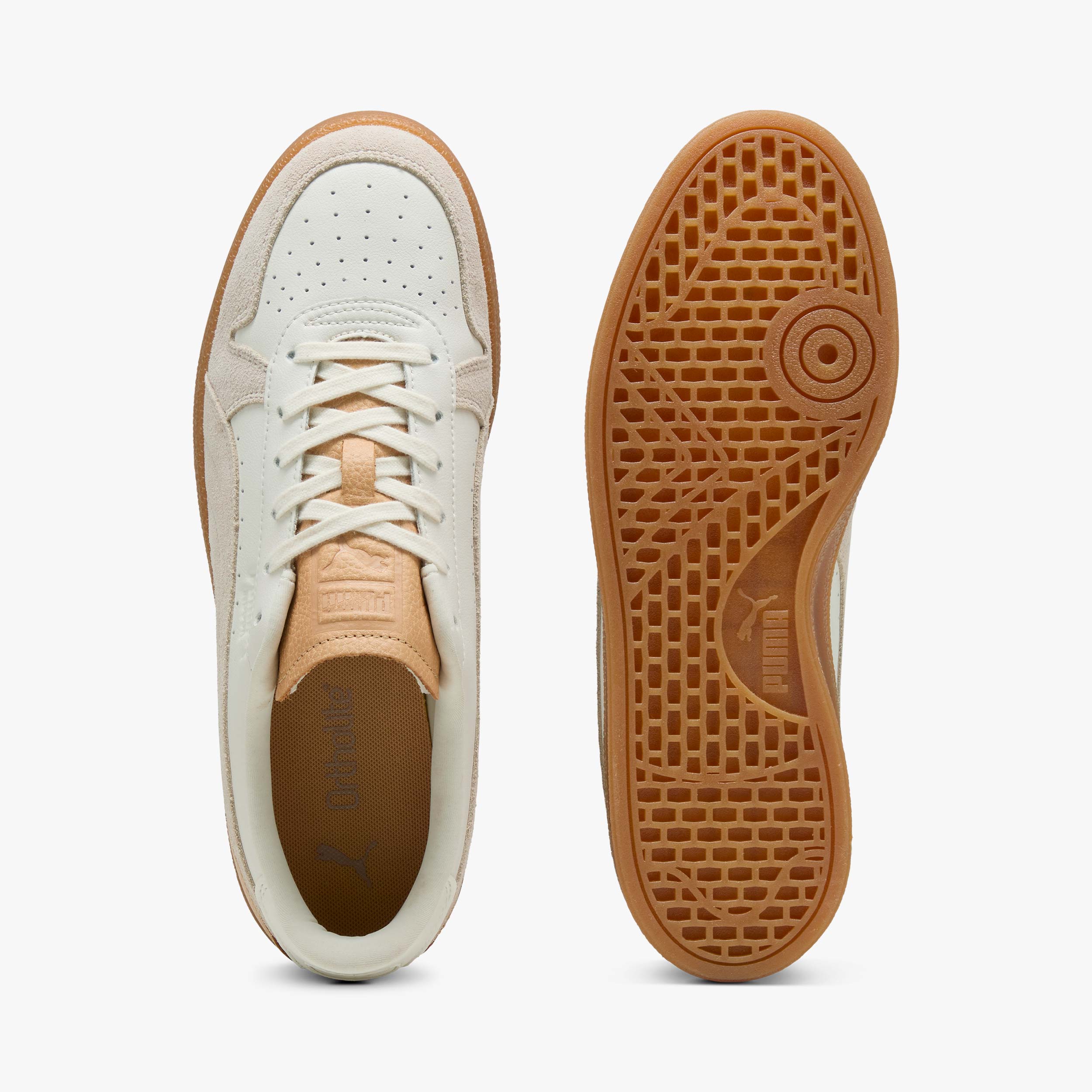 Puma Indoor Special
