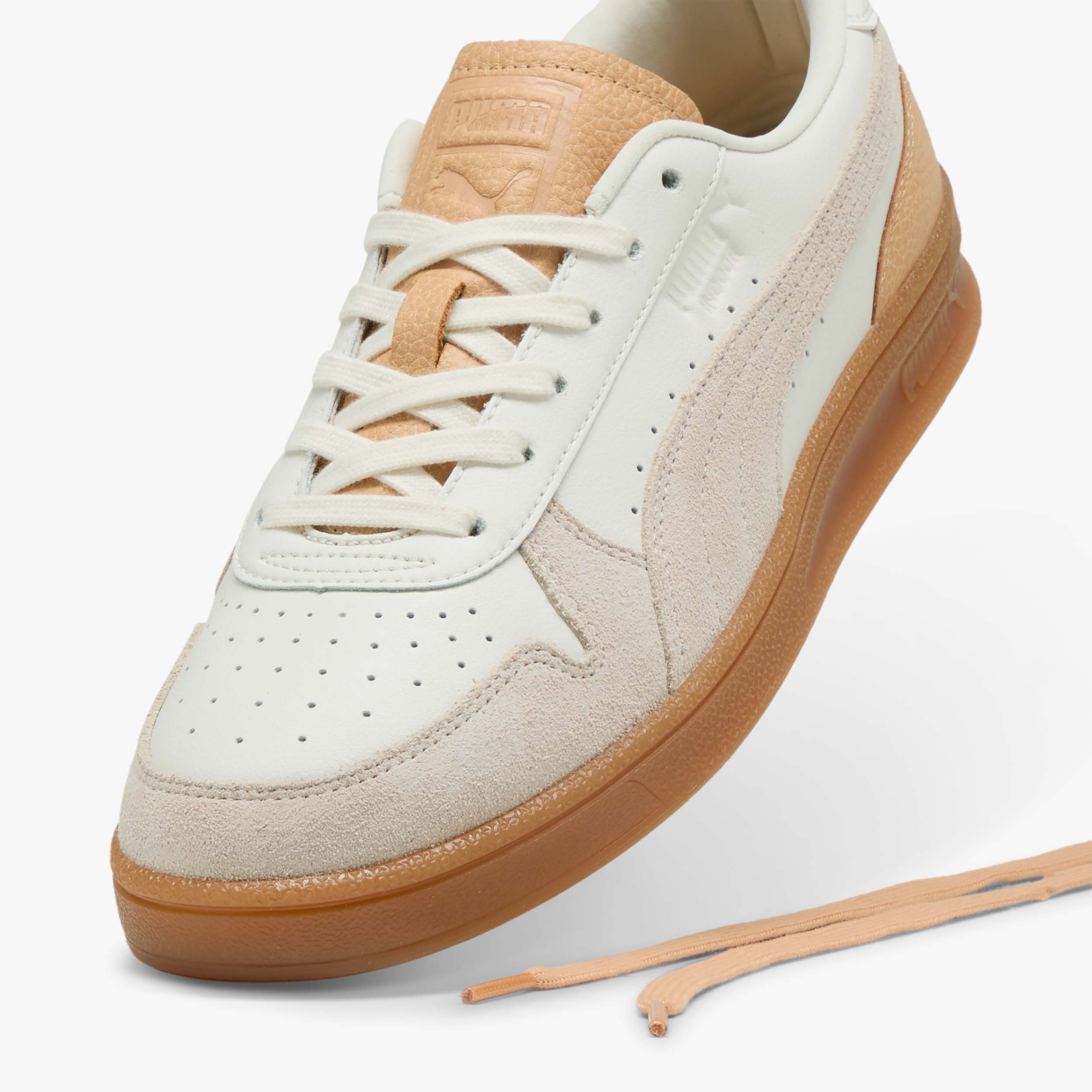 Puma Indoor Special
