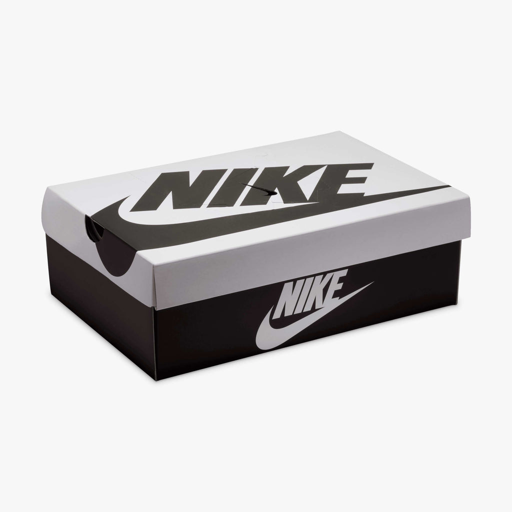 Nike Dunk Low Retro SE