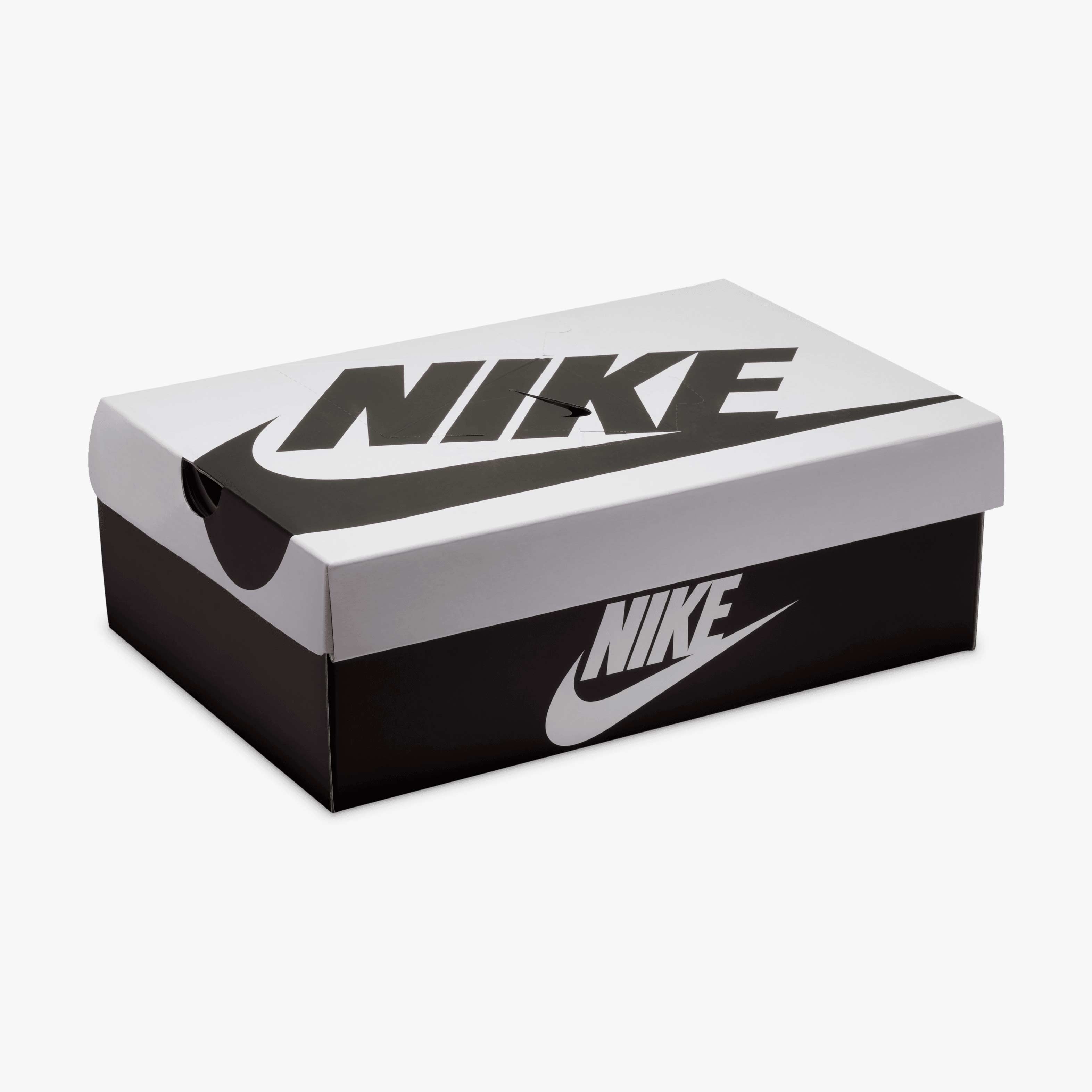 Nike Dunk Low Retro SE