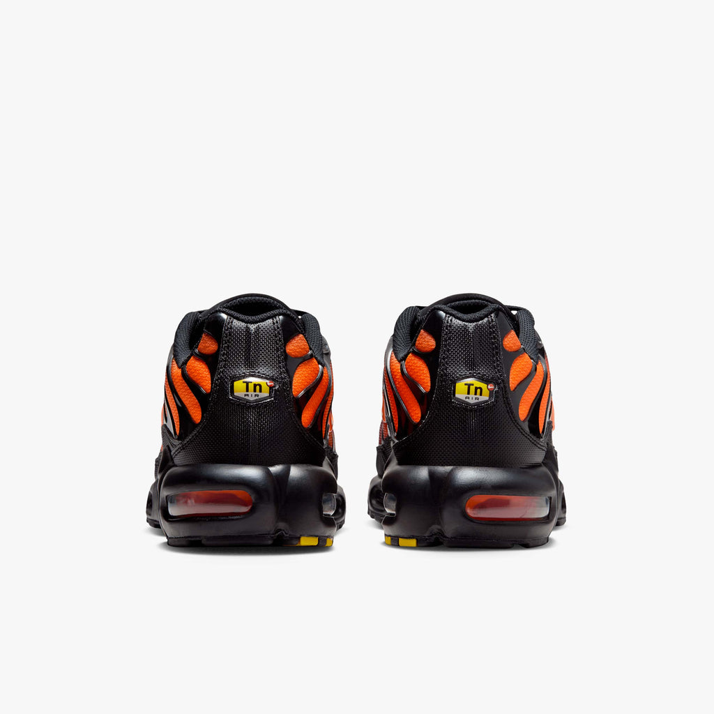 Nike Zapatos Air Max Plus