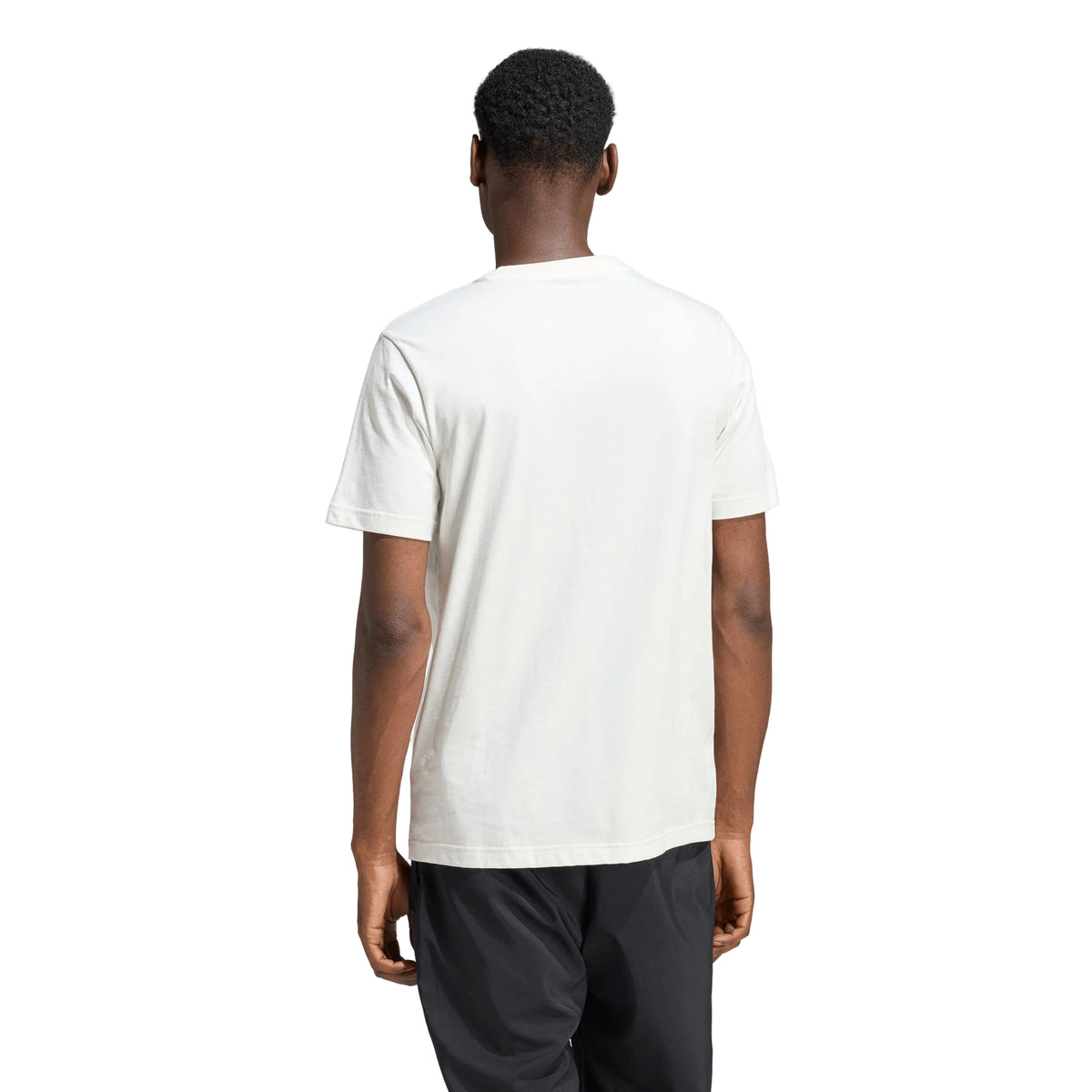 Adidas Camiseta Graphic ANX Run