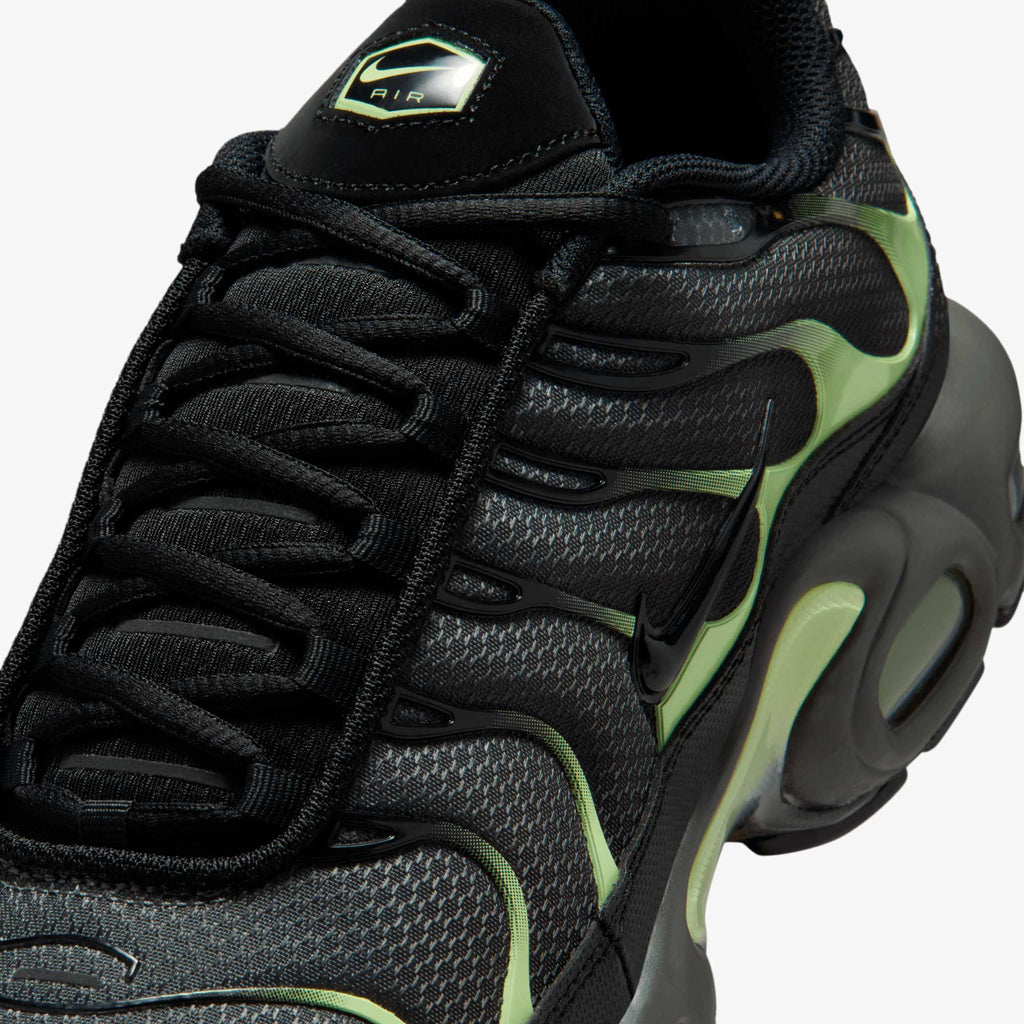 Nike  Air Max Plus