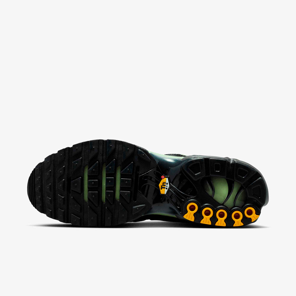 Nike  Air Max Plus