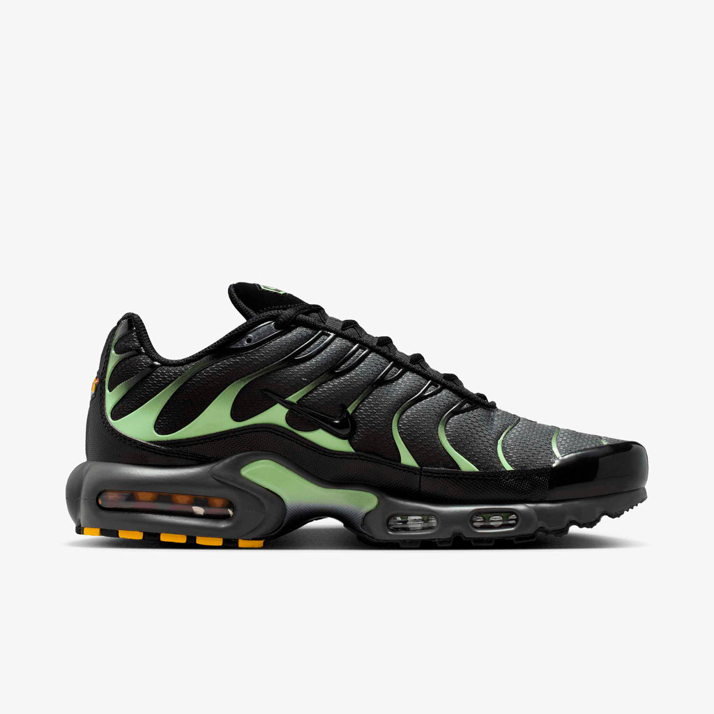 Nike  Air Max Plus