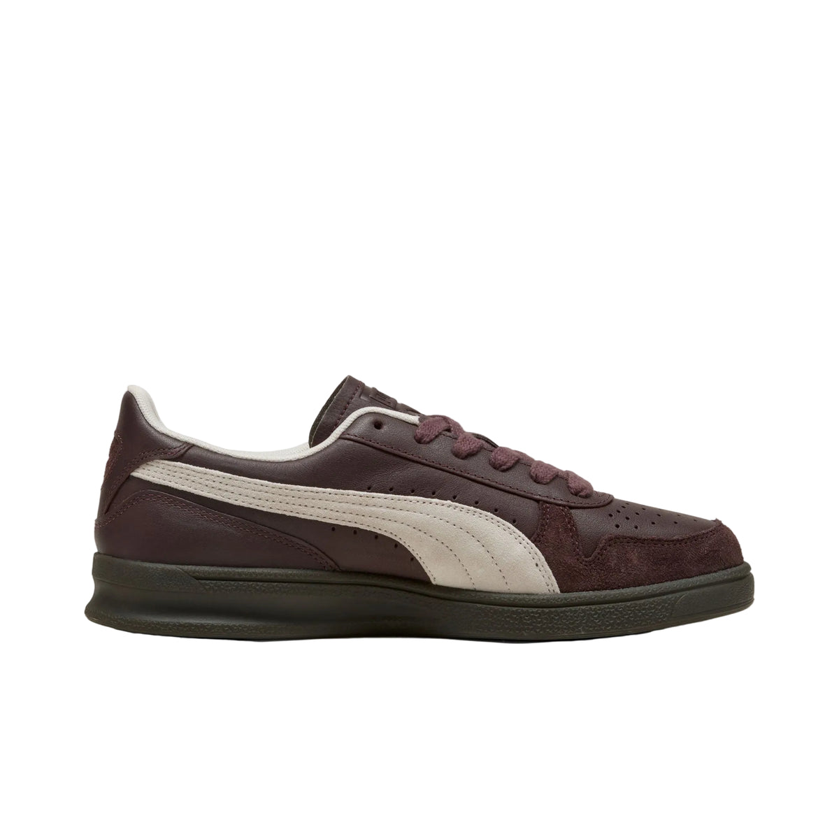 Puma Indoor