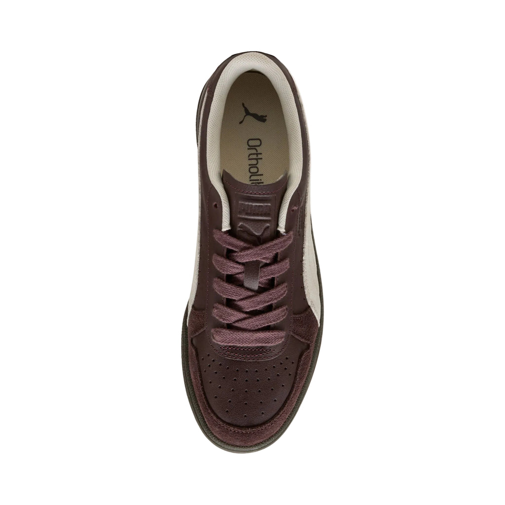 Puma Indoor