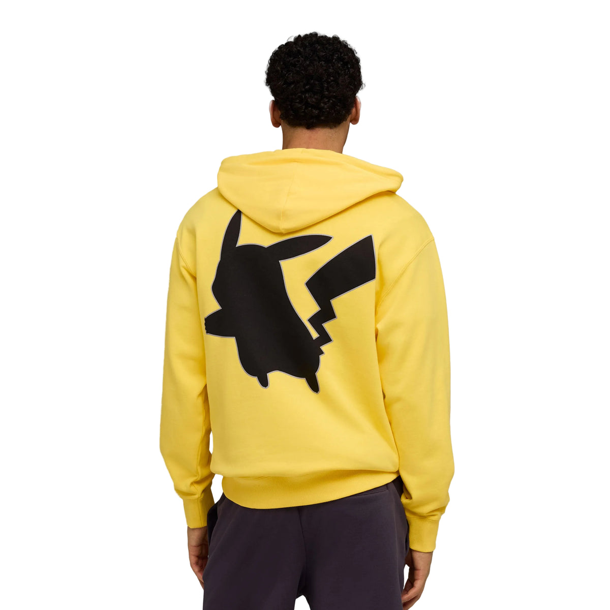 Puma Buzo Pokémon