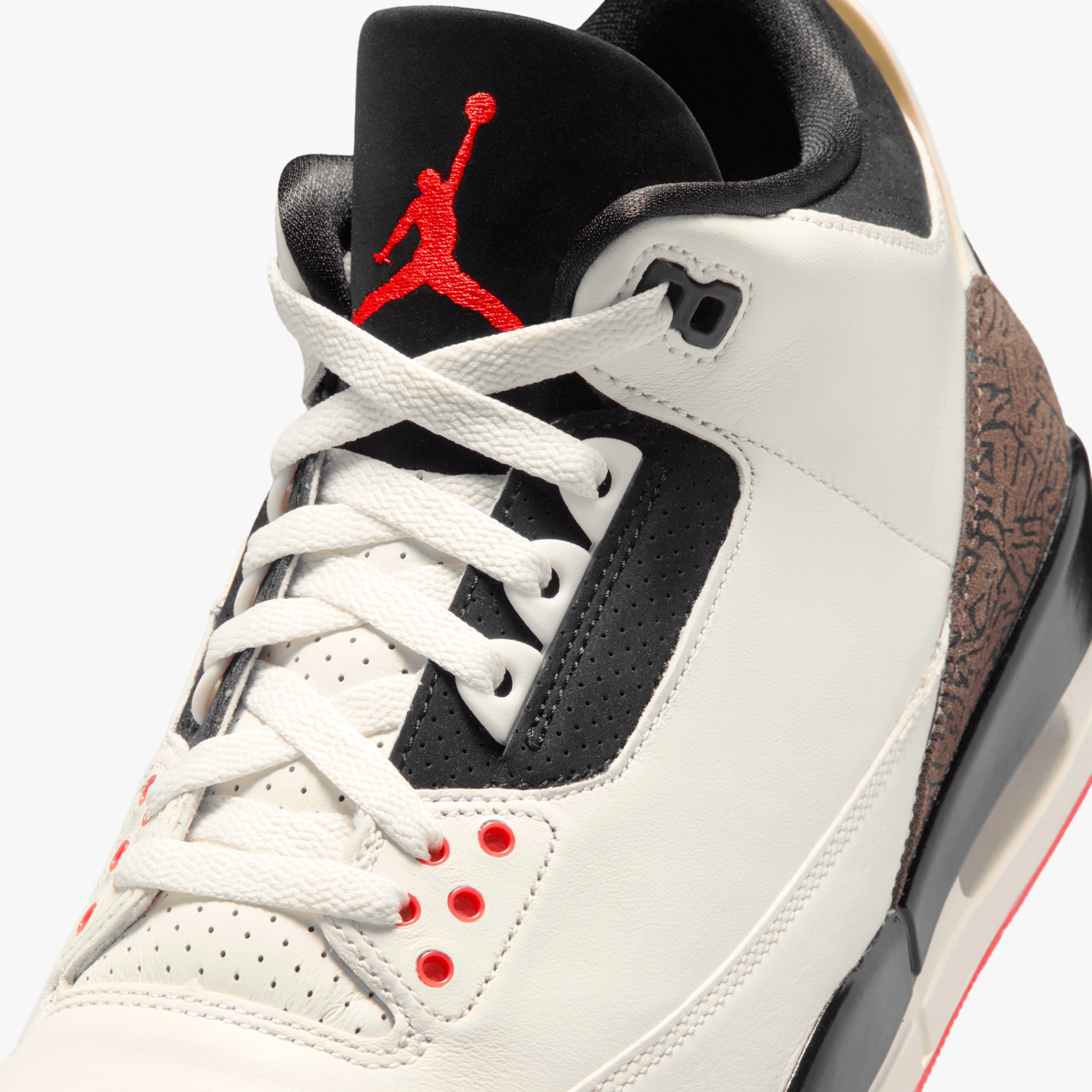 Air Jordan 3 Worlds Best