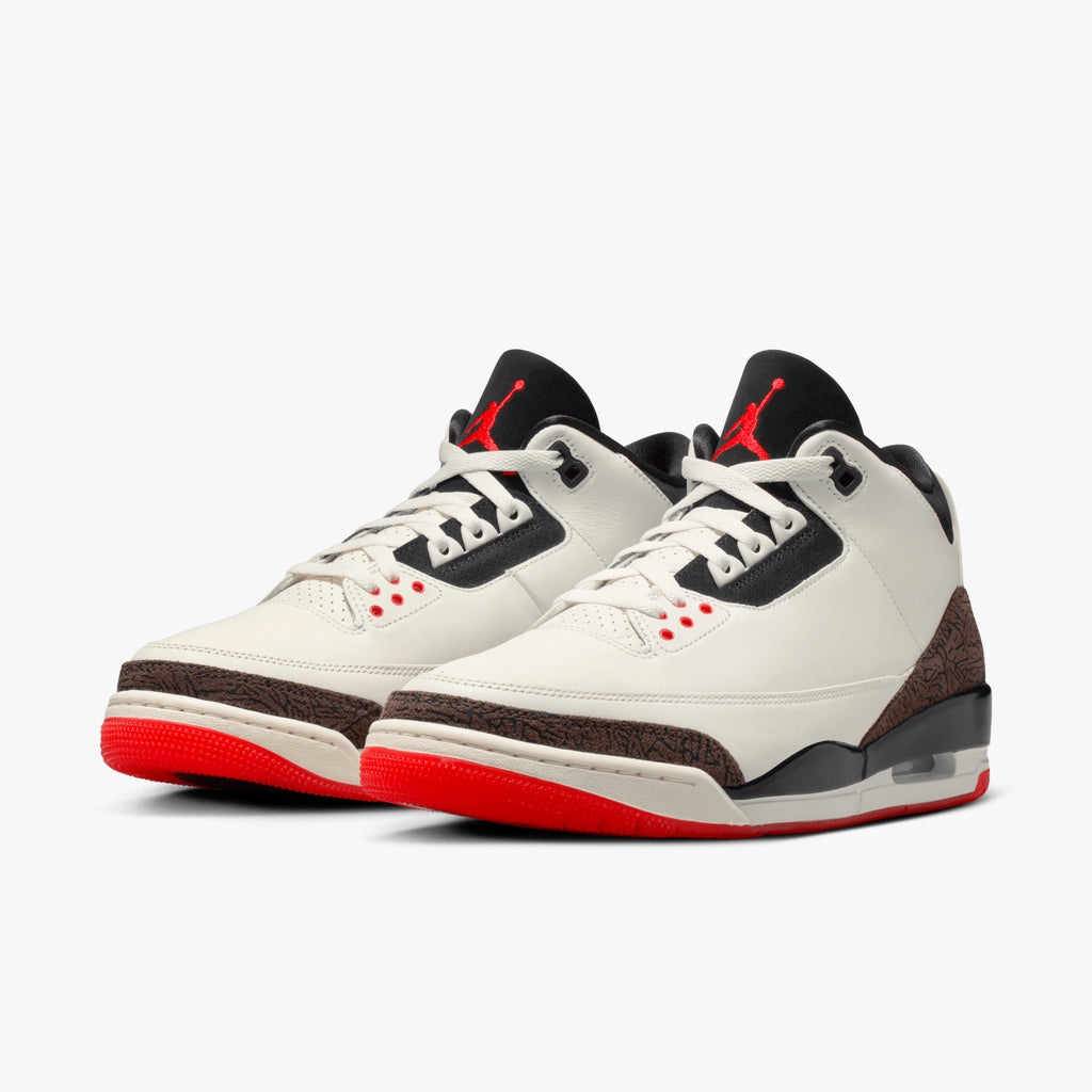 Air Jordan 3 Worlds Best