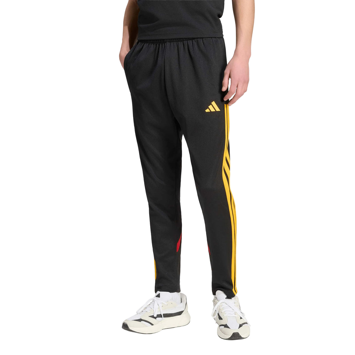 Adidas Pantalón House Of Tiro Nations