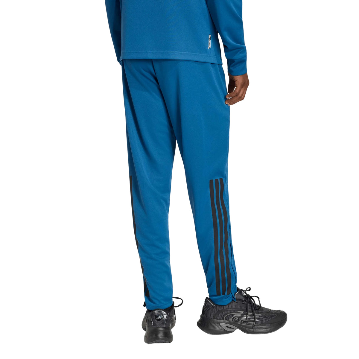 Adidas Pantalón Clásico Sereno