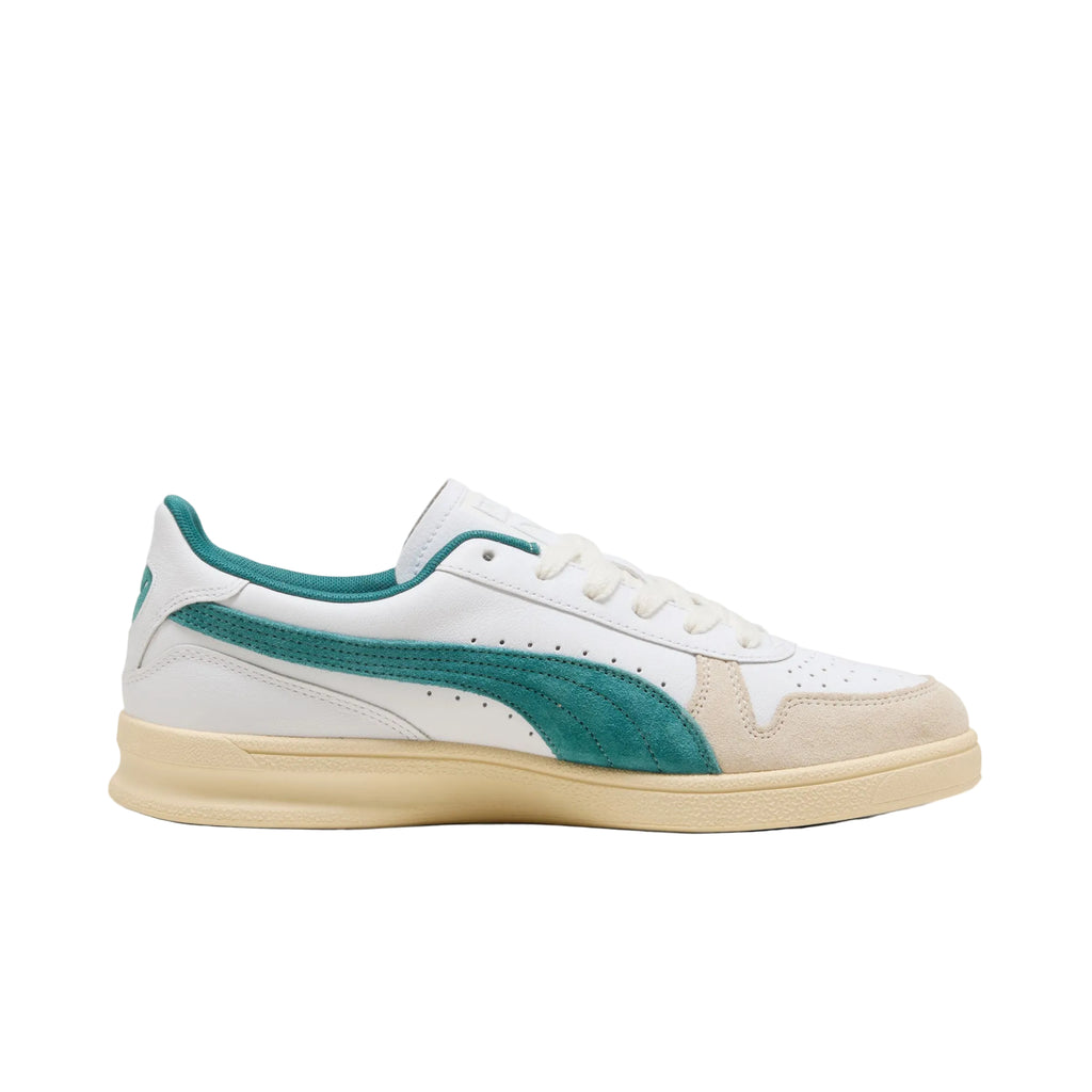 Puma Indoor