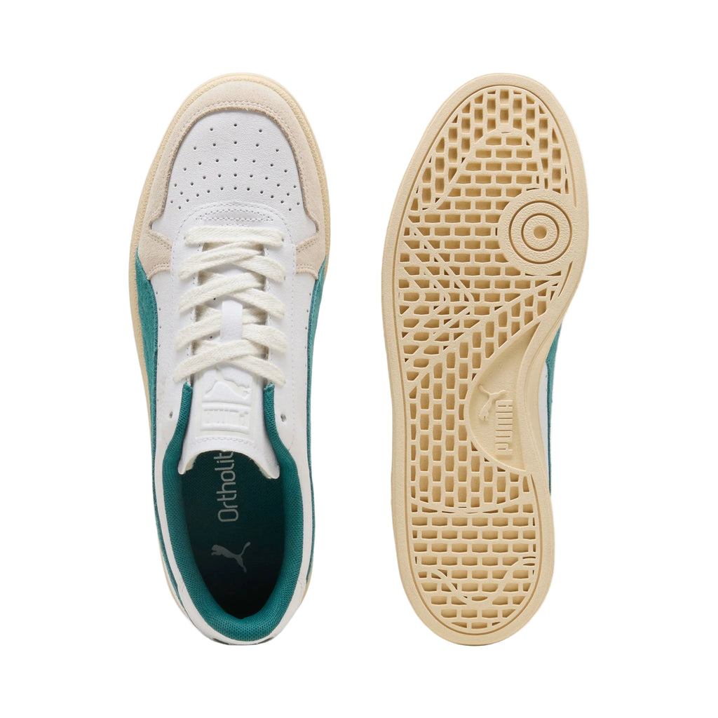 Puma Indoor