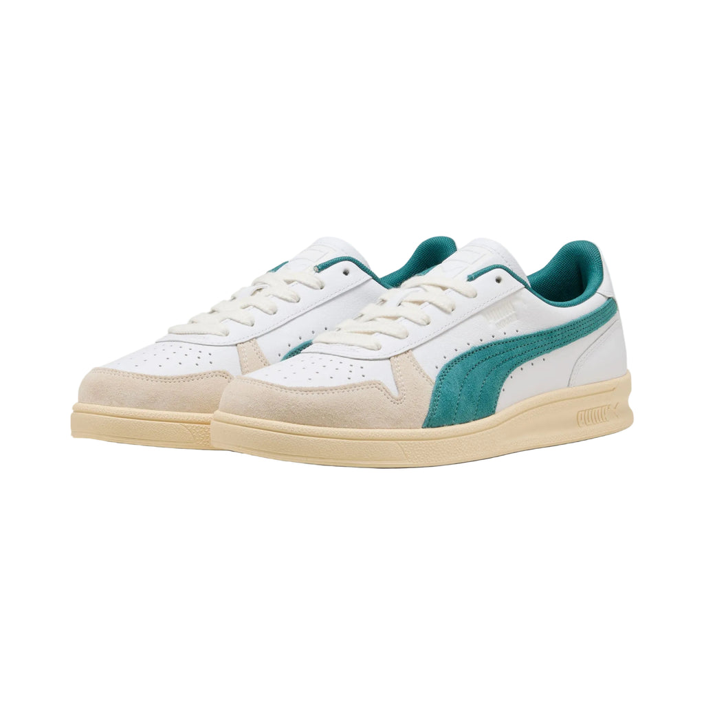 Puma Indoor