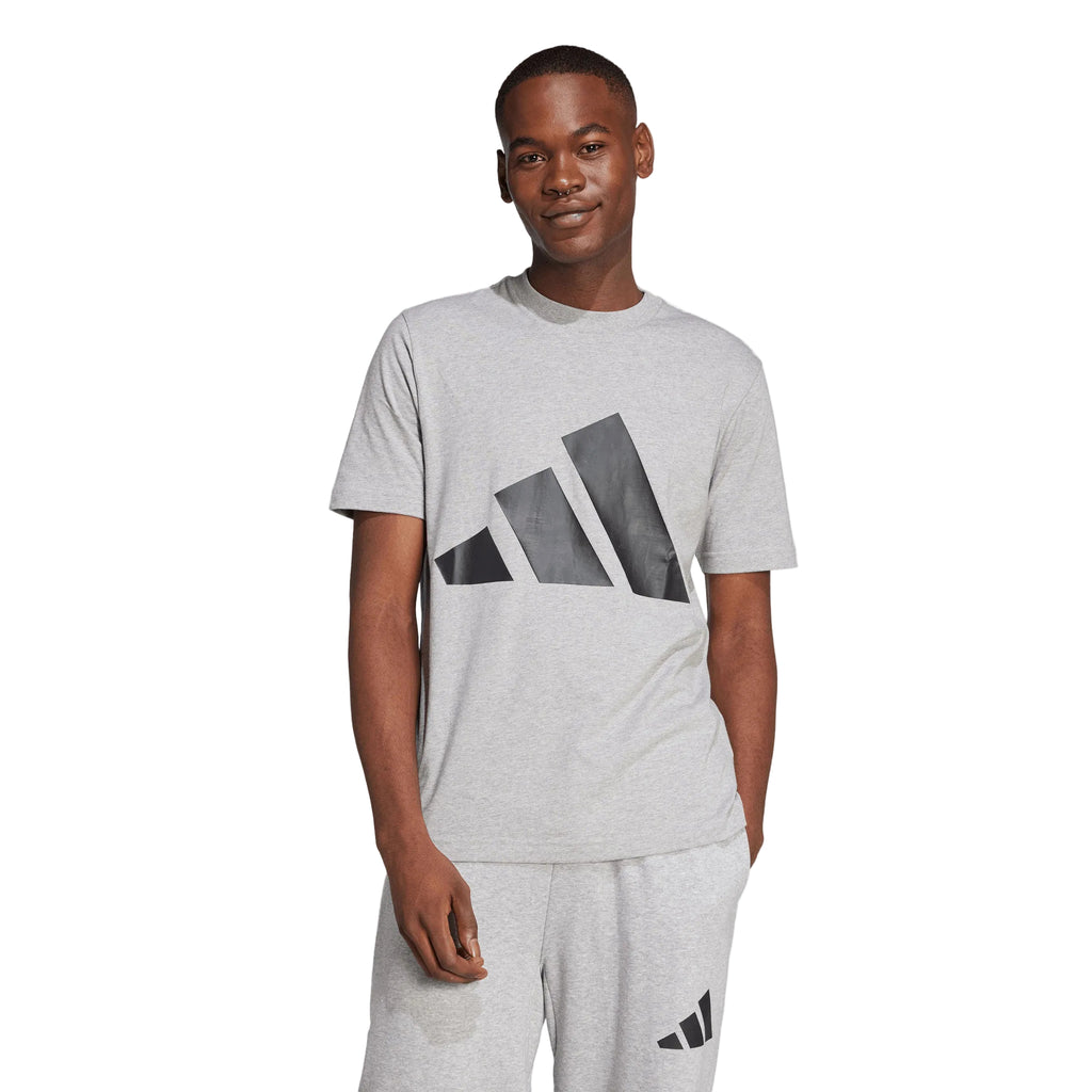 Adidas Camiseta Essentials Big Logo