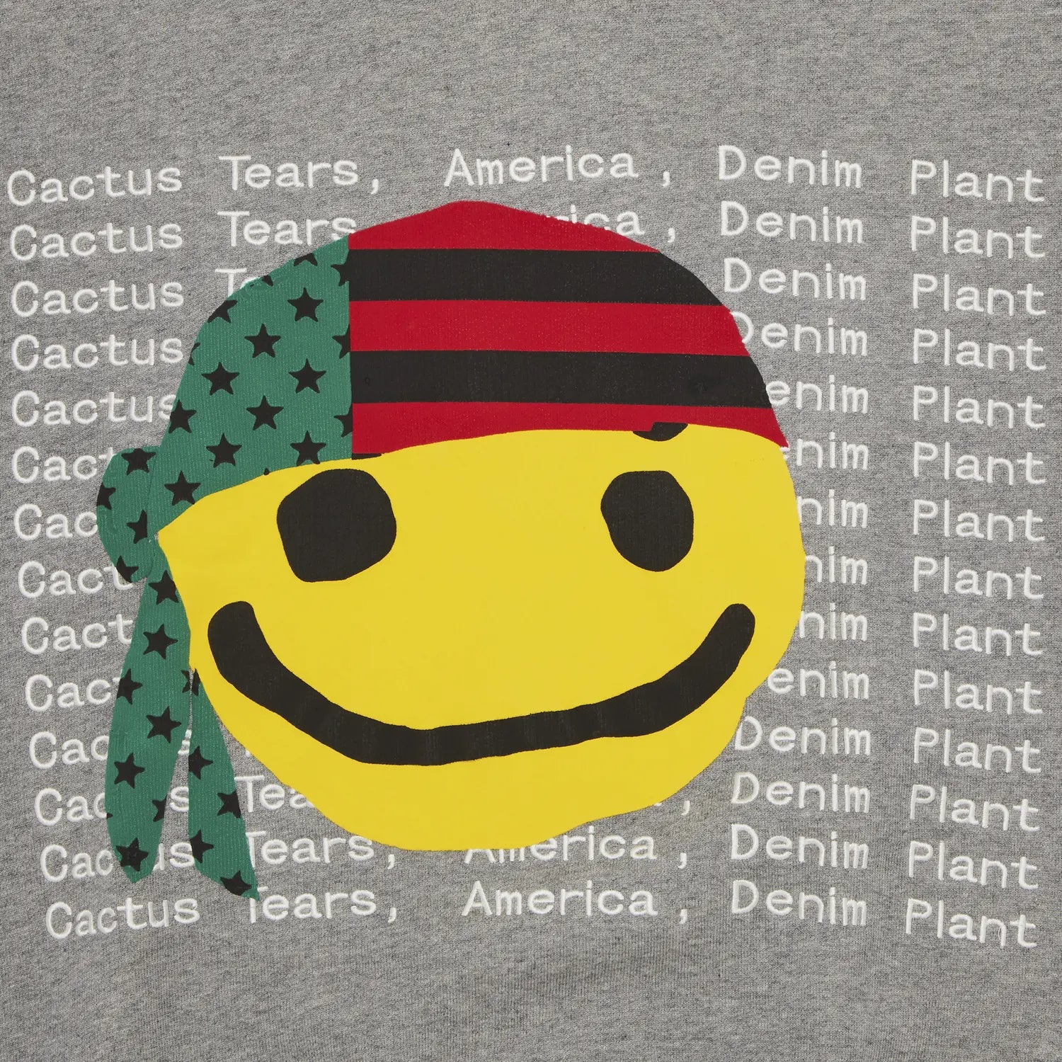 Denim Tears x Cactus Plant Flea Market Cactus Tears Hoodie 'Grey'