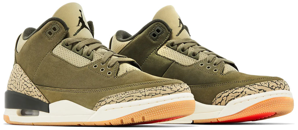 Air Jordan 3 Retro 'Family Affair'