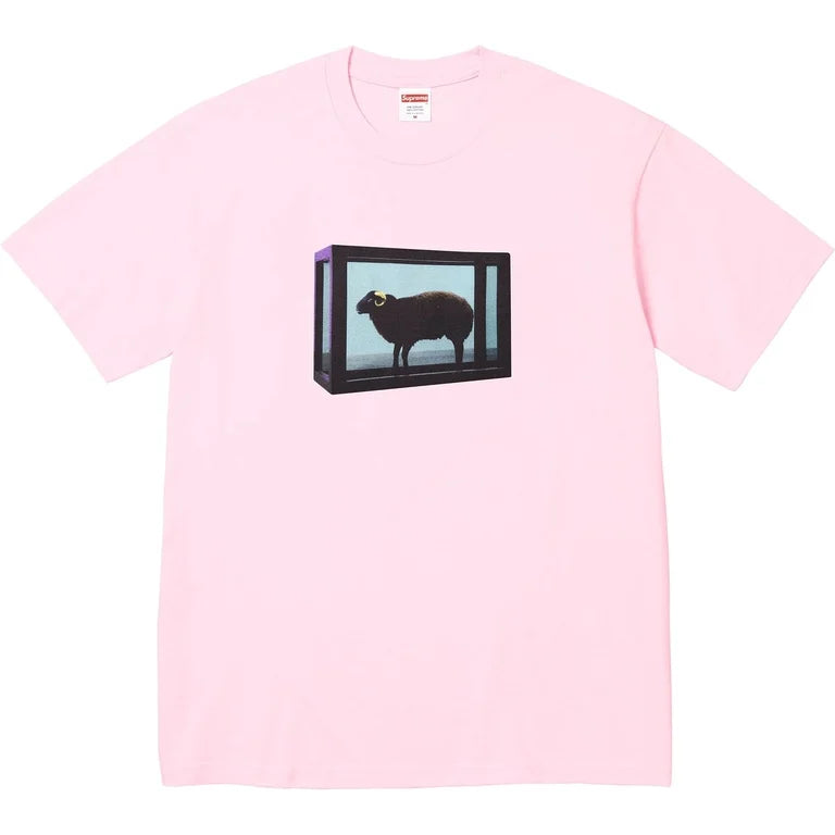 Supreme Damien Hirst Tee